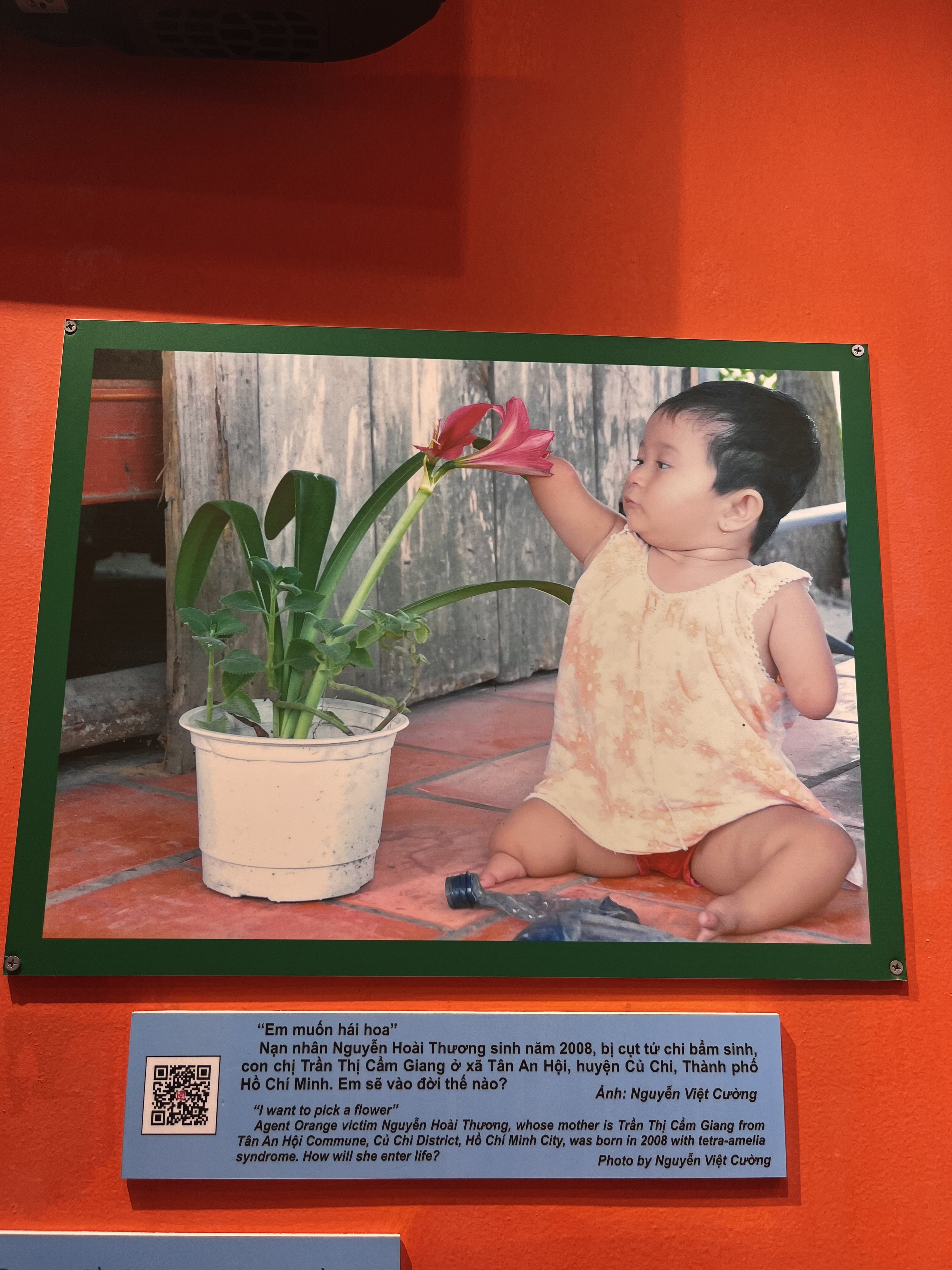 city vap clisson Life Exists.: Go Vap Orphanage, Ho Chi Minh City, Vietnam main image 1