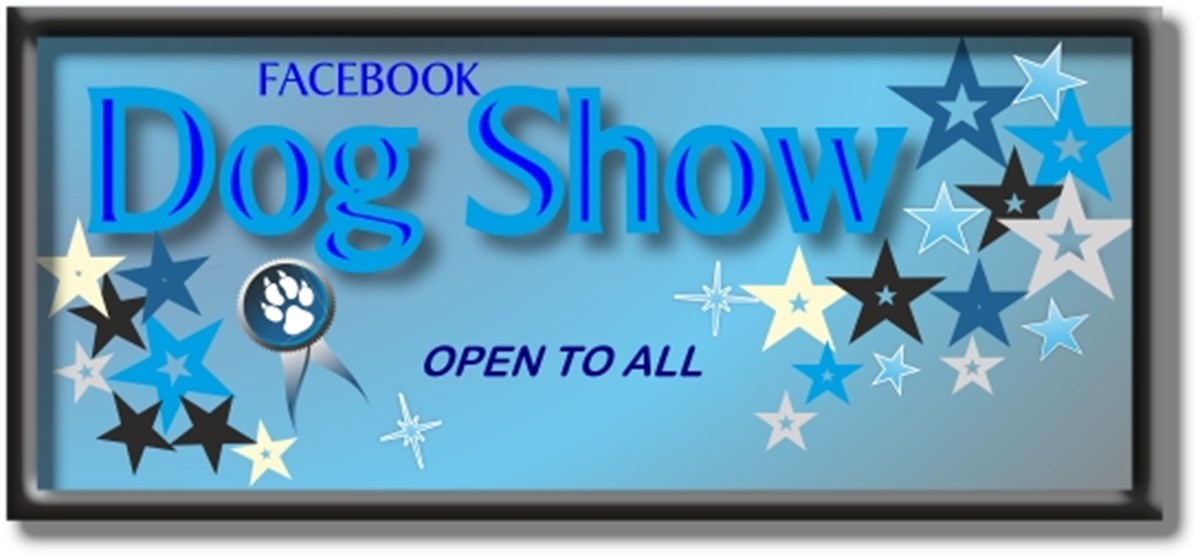 Kit Wilson Trust for Animal Welfare is fundraising for The Kit Wilson