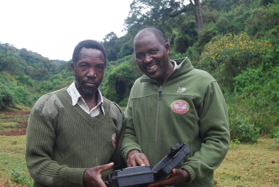 Aberdare National Park - Bongo Surveillance Project is fundraising for ...