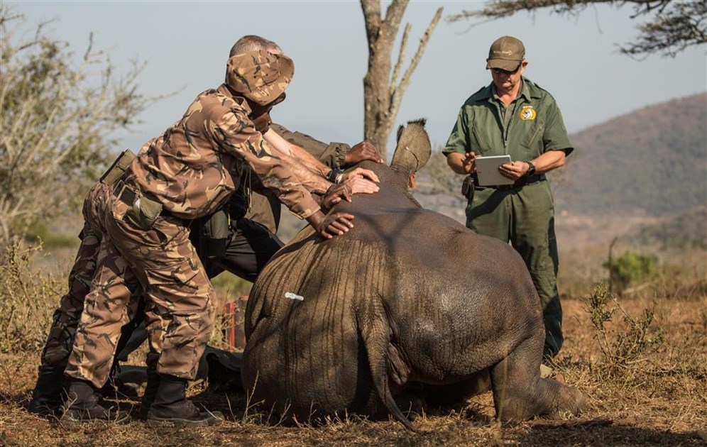 Game Rangers Association of Africa is fundraising for Tusk Trust