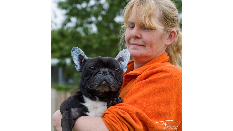 Gables Farm Dogs And Cats Home Gables Farm Dogs And Cats Home