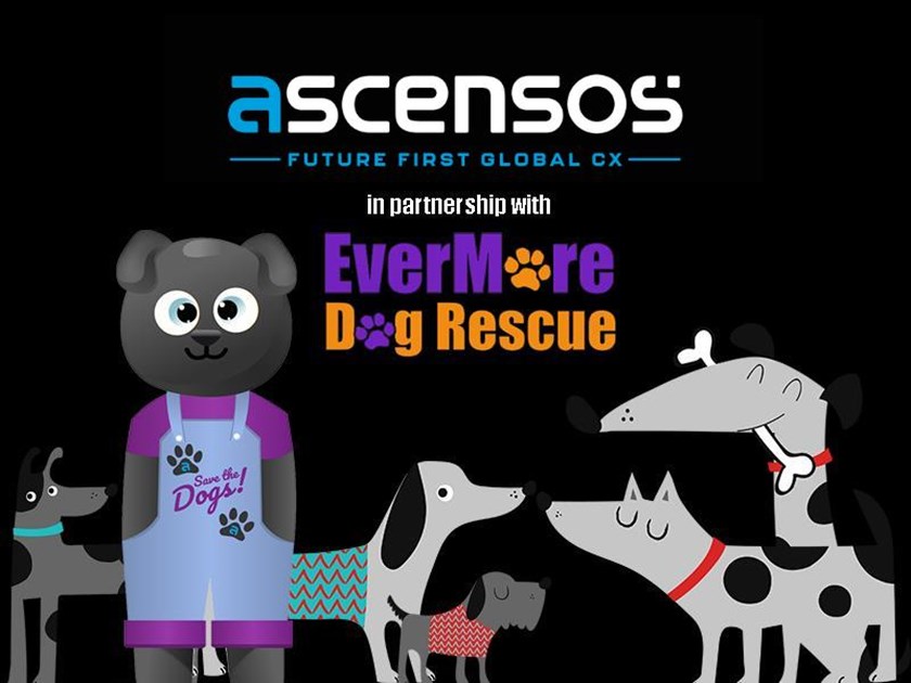 Bryony Bell is fundraising for EverMore Dog Rescue