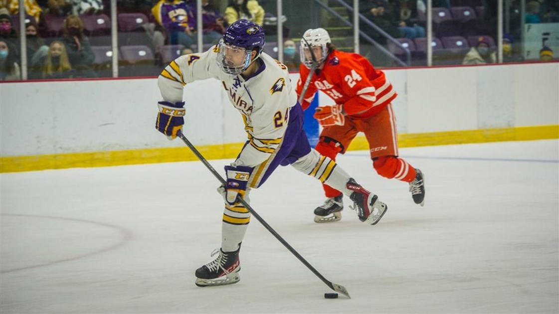 EC Ice Hockey Men's is fundraising for Elmira College