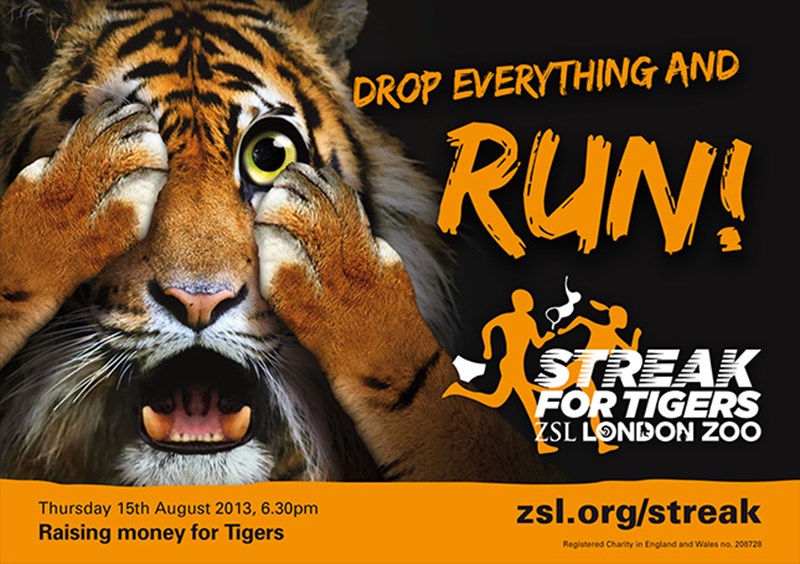 LONDON TIGERS – Source Teamworks