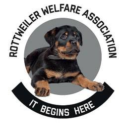 rottweiler welfare