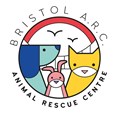 Bristol Animal Rescue Centre (Bristol .) - JustGiving