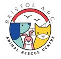 Bristol Animal Rescue Centre (Bristol .) - JustGiving Bristol Animal Rescue Centre (Bristol .) - JustGiving