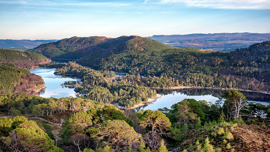 Adam Stapleton is fundraising for Trees for Life