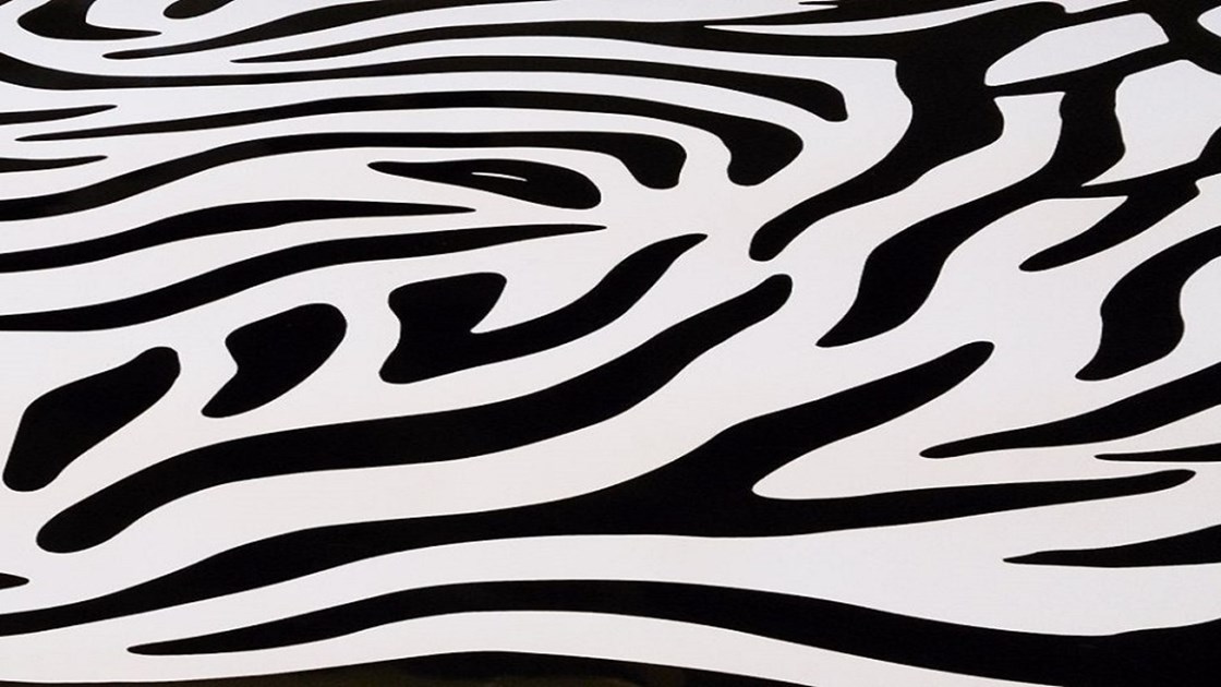 Kendall Robbins is fundraising for Ehlers-Danlos Support UK