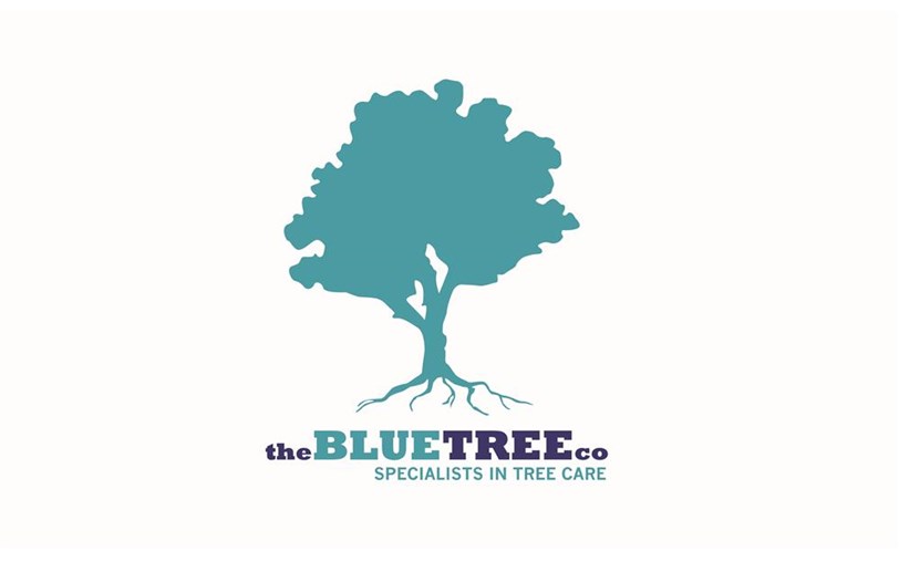 The Blue Tree Company is fundraising for Woodland Trust