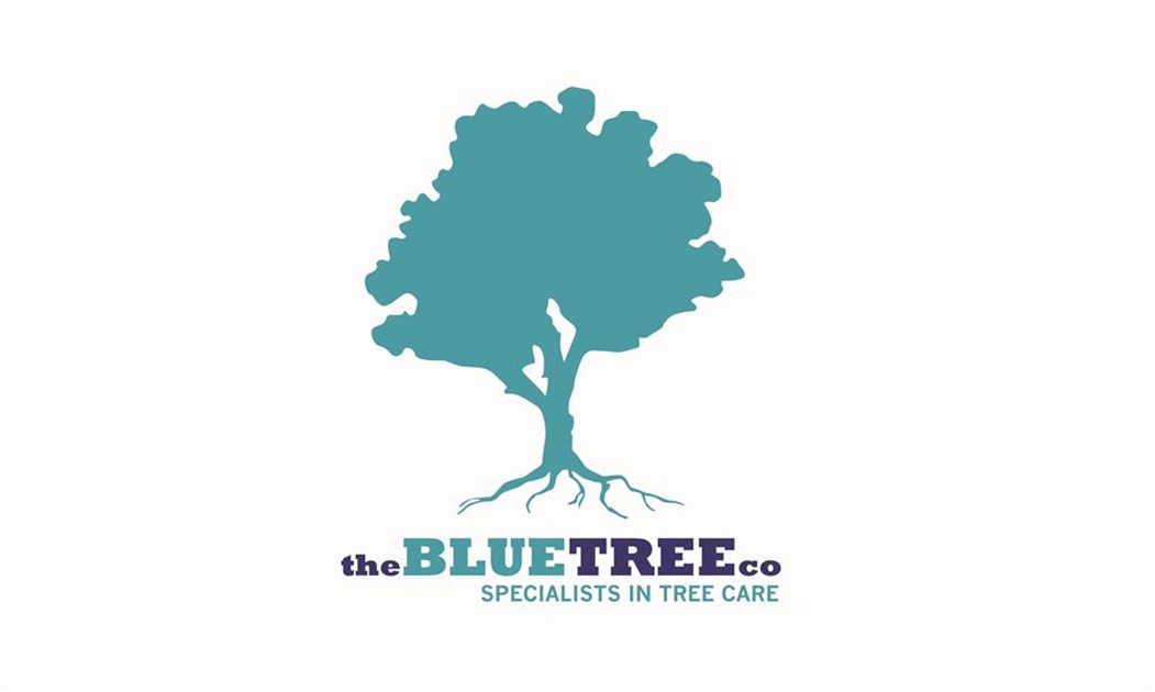 Trees company. Blue Tree Phuket концертный зал.