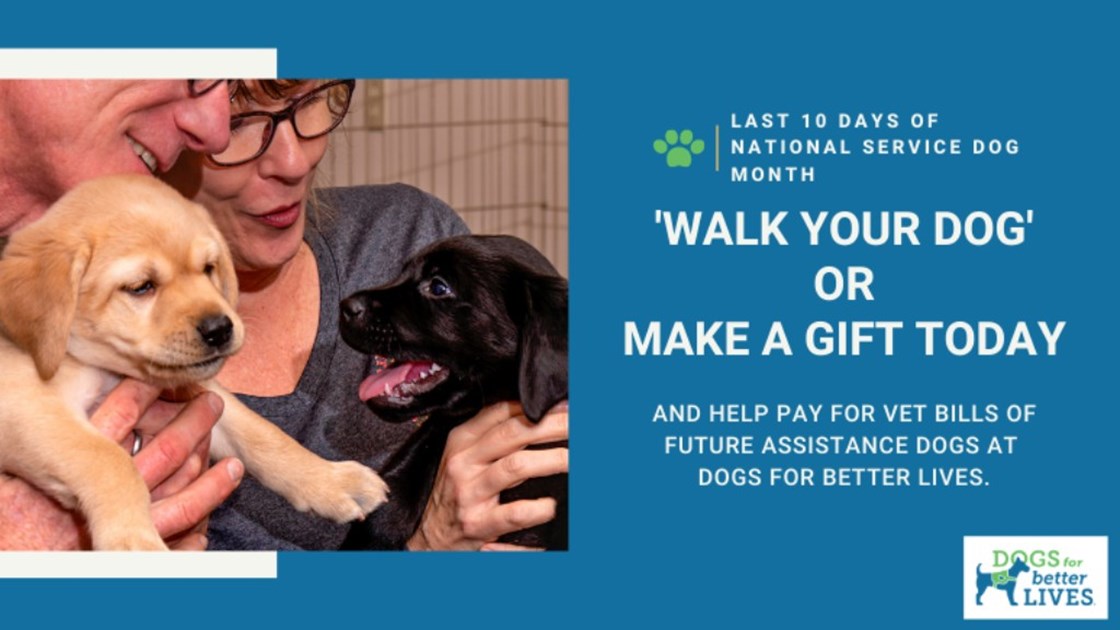 Walk Your Dog Challenge - JustGiving