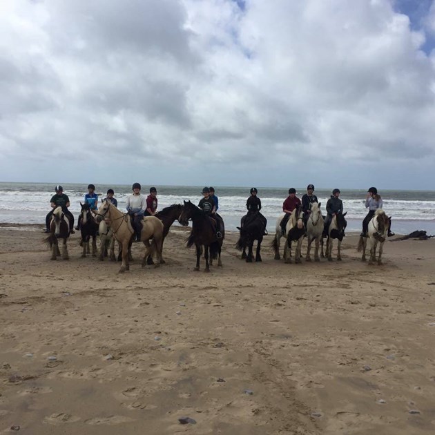 Swansea Equestrian Club is fundraising for Lluest Horse and Pony Trust