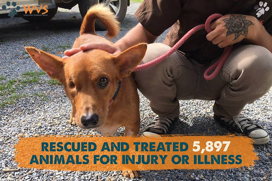 Provost Veterinary Group is fundraising for Worldwide Veterinary Service