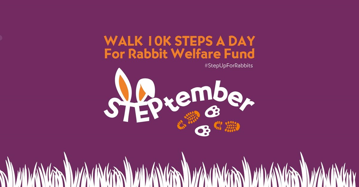 Just Giving is fundraising for Rabbit Welfare Fund