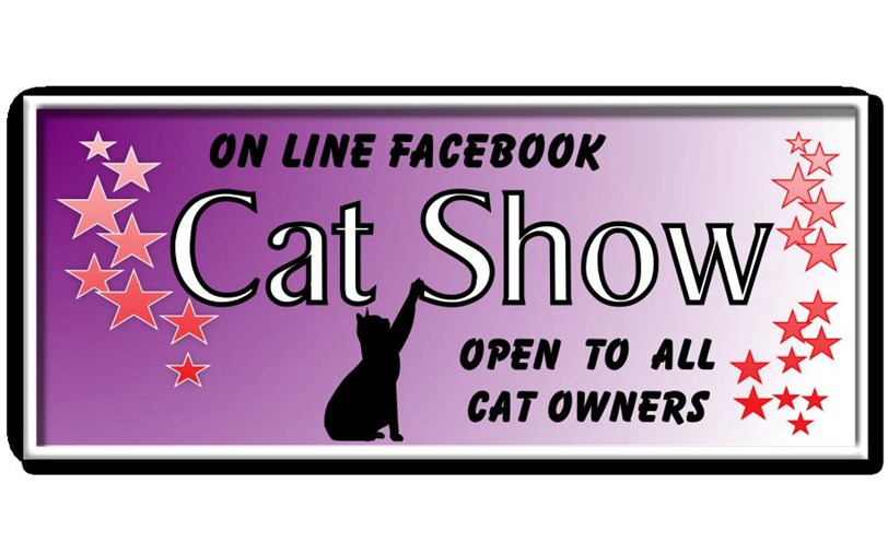 Kit Wilson Trust for Animal Welfare is fundraising for The Kit Wilson