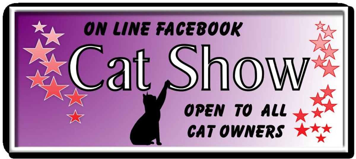 Kit Wilson Trust for Animal Welfare is fundraising for The Kit Wilson