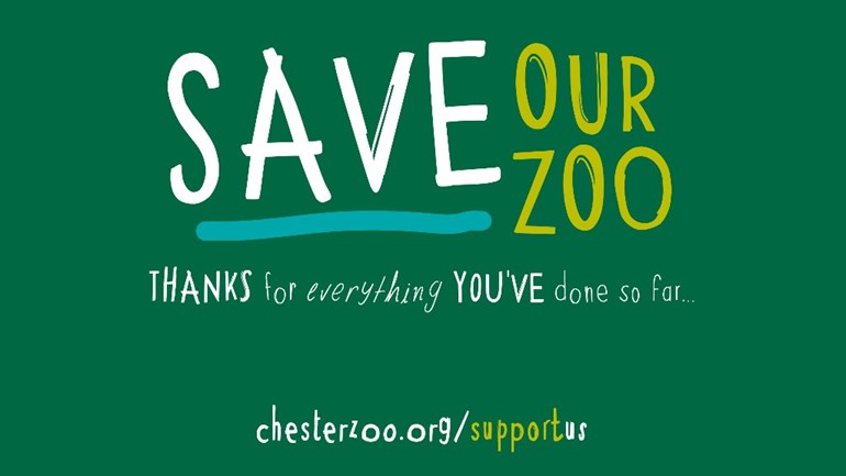 Chester Zoo: keeping up the fight for an extinction-free future ...