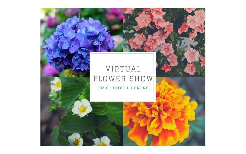 Virtual Flower Show JustGiving