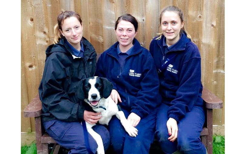 RSPCA Little Valley Animal Shelter is fundraising for RSPCA Little Valley Animal Shelter RSPCA Little Valley Animal Shelter is fundraising for RSPCA Little Valley Animal Shelter