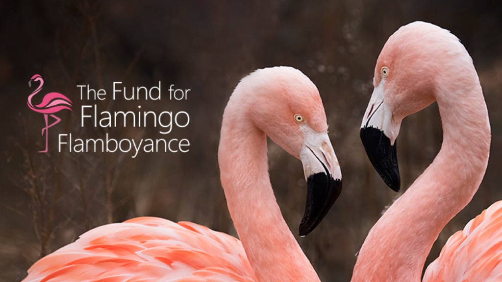 The Fund for Flamingo Flamboyance - JustGiving