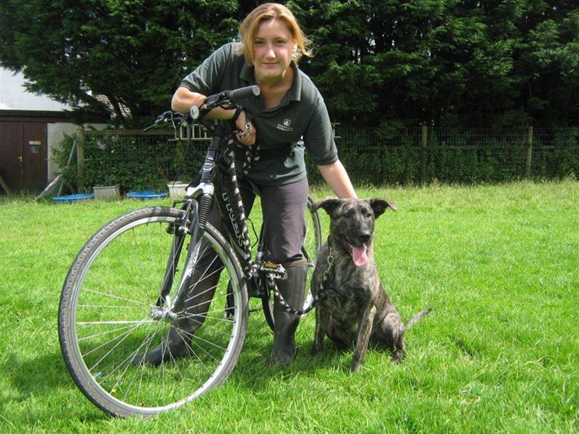 Margaret Green Animal Rescue Appeal is fundraising for Margaret Green Animal Rescue