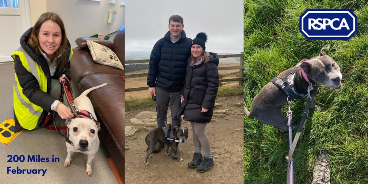 Natalie Archer is fundraising for RSPCA Southport, Ormskirk and