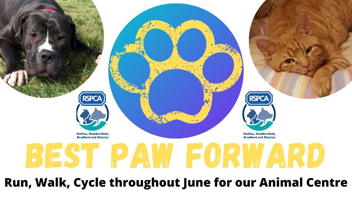 Best Paw Forward JustGiving