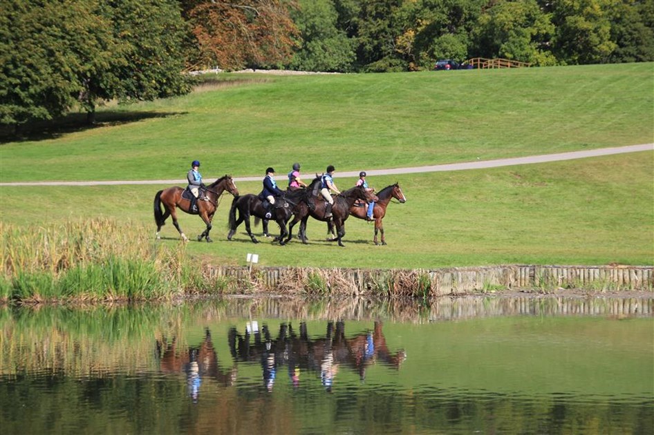 Susan Taylor is fundraising for Riding For The Disabled Association ...