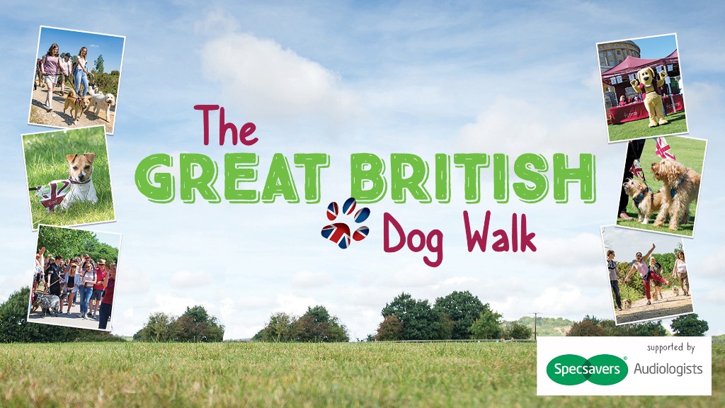 great british dog walk 2019