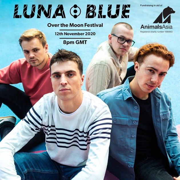 Luna Blue Indie Rock is fundraising for Animals Asia Foundation - UK