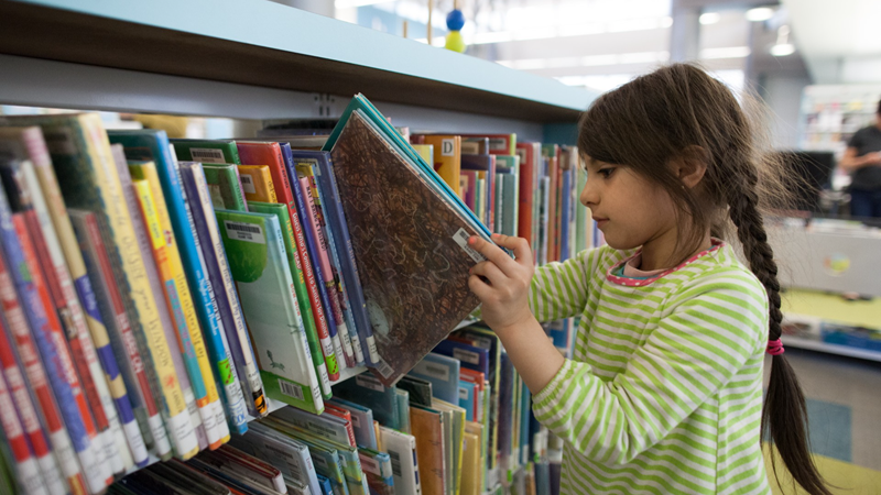 NFL Streams Reddit is fundraising for Chicago Public Library