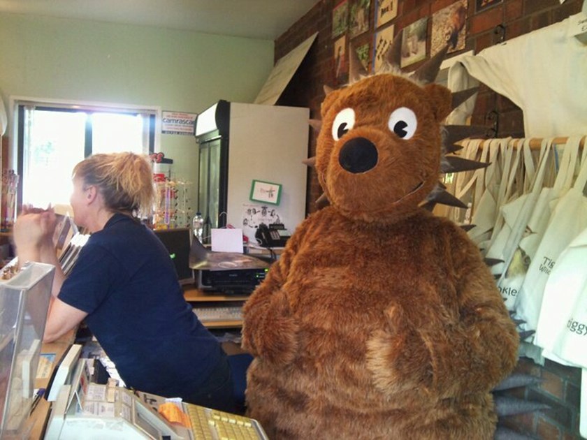 Chris Wickham is fundraising for Tiggywinkles Wildlife Hospital