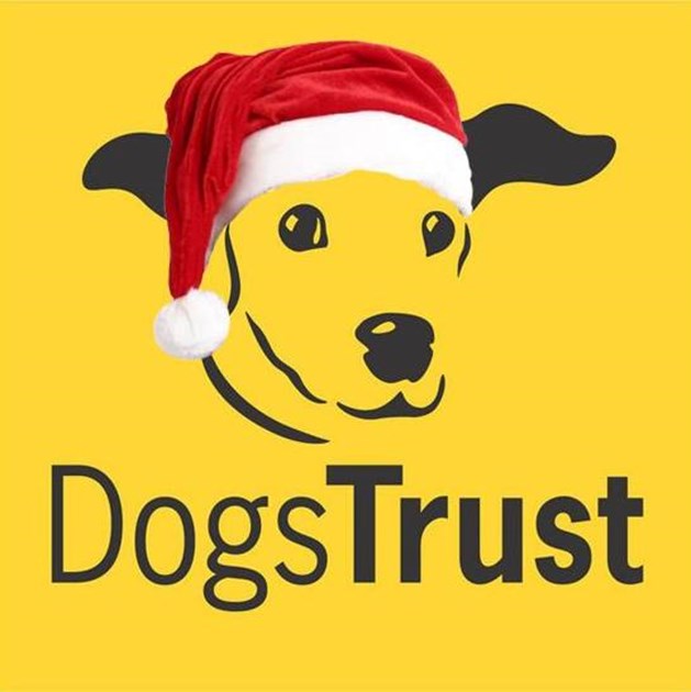 Dogs Trust is fundraising for Dogs Trust