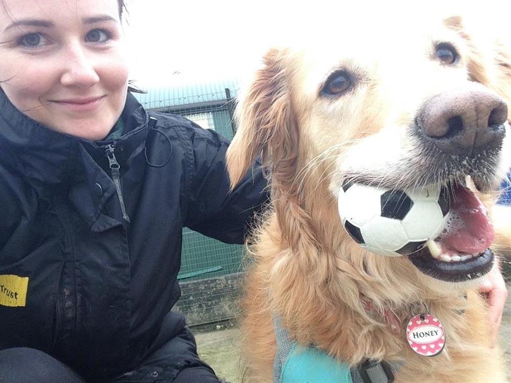 Dogs trust best sale great north run