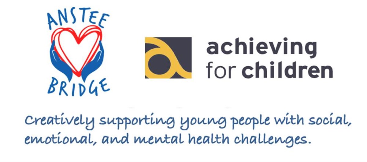 Anstee Bridge is fundraising for Rotary Club of Kingston upon Thames