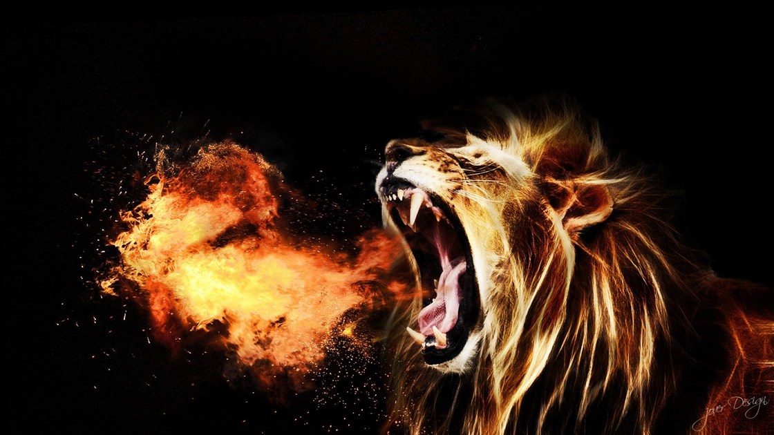roaring lion wallpaper desktop