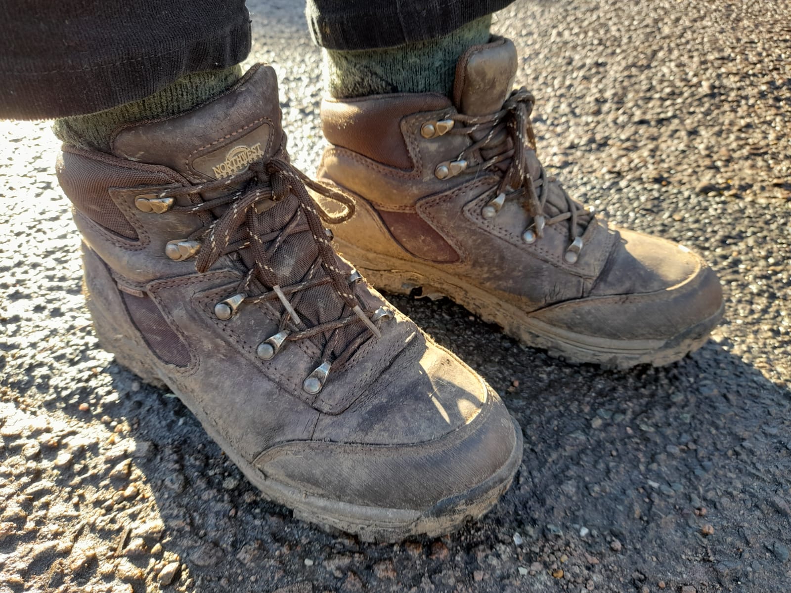 Vivien's Big Lent Walk