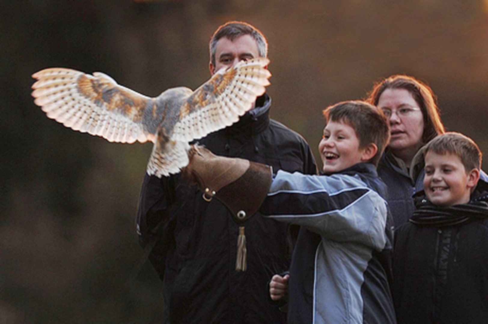 Barn Owl Centre Appeal Page Is Fundraising For Barn Owl Centre