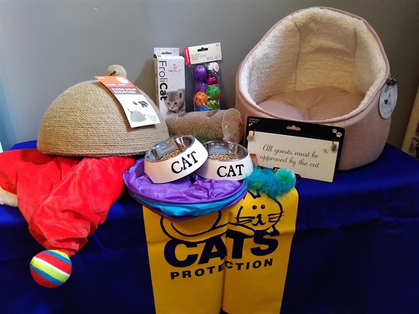 Stafford & District Cats Protection Branch is fundraising for Cats