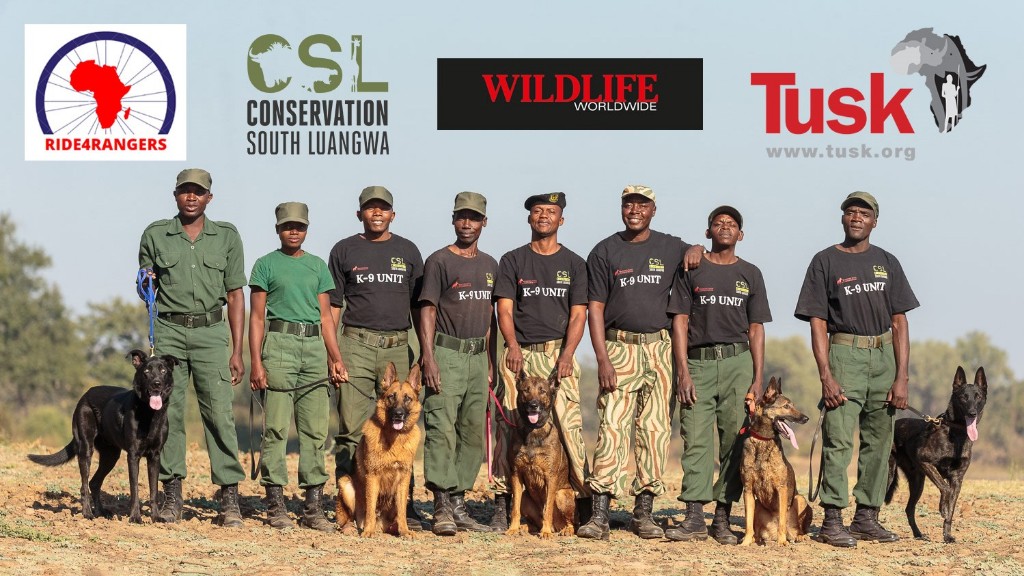 Is World Wildlife Fund Reputable