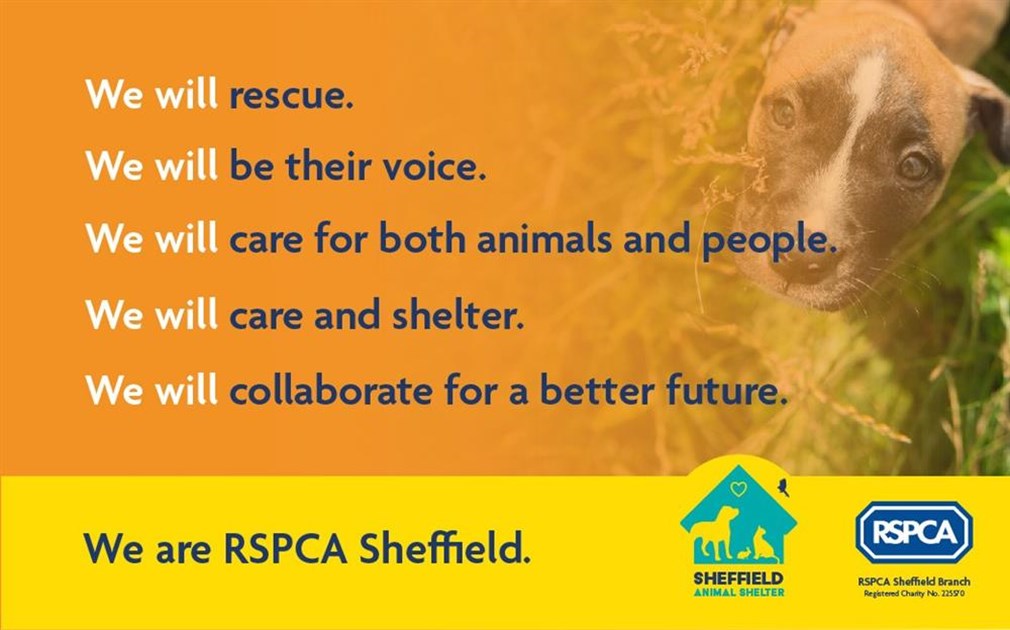 Karima ali is fundraising for RSPCA Sheffield Branch