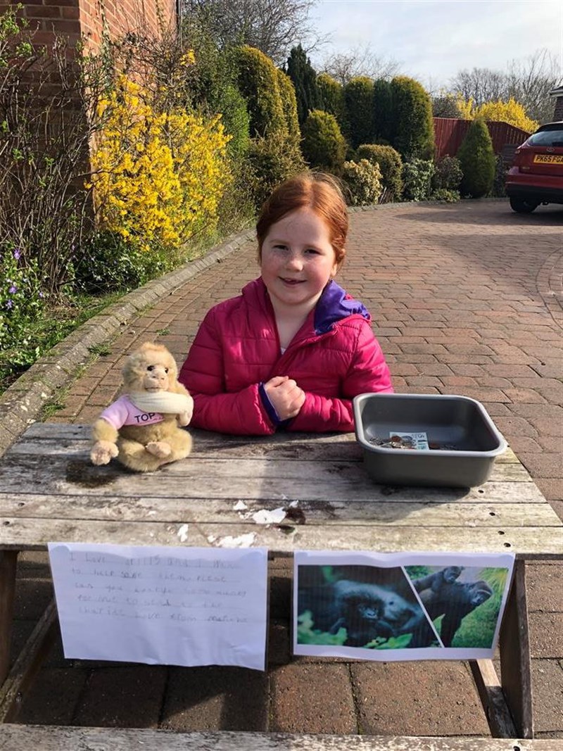 Caroline Atkinson is fundraising for The Gorilla Organization