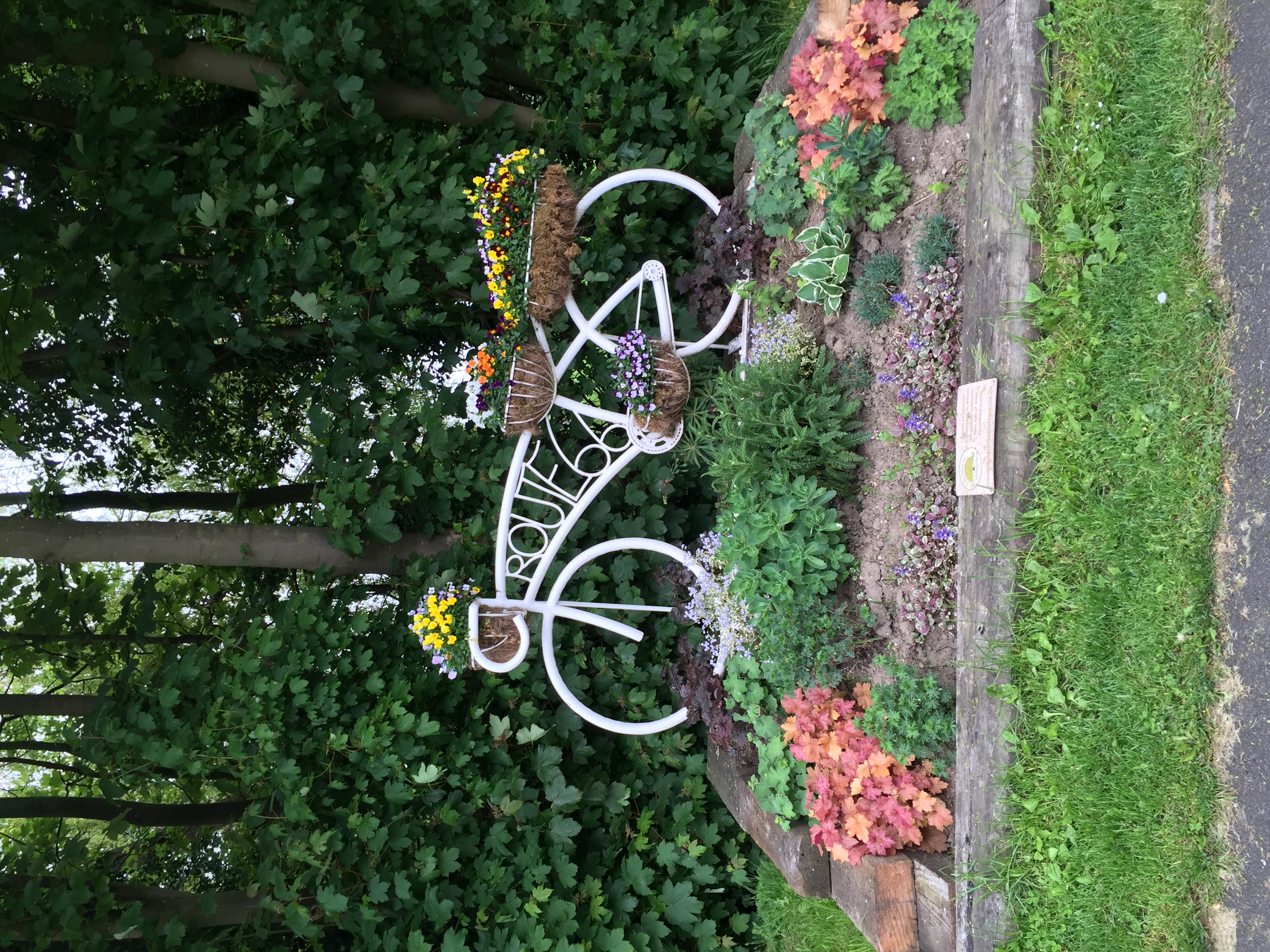 Sandra Burns is fundraising for Alzheimer's Society