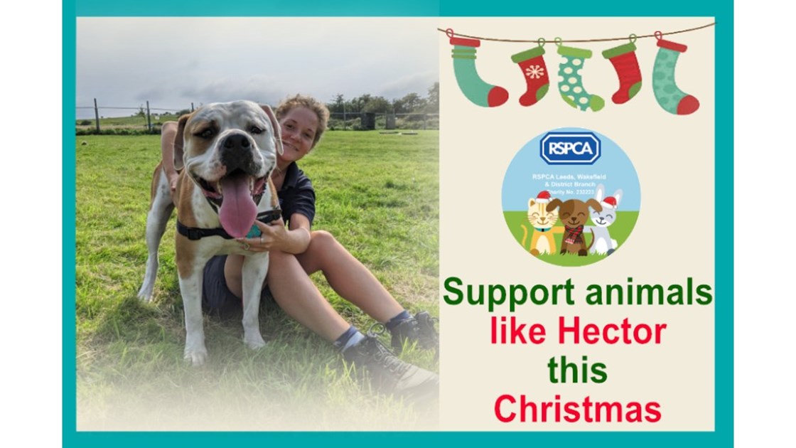 Christmas Appeal for the RSPCA Leeds, Wakefield & District Branch