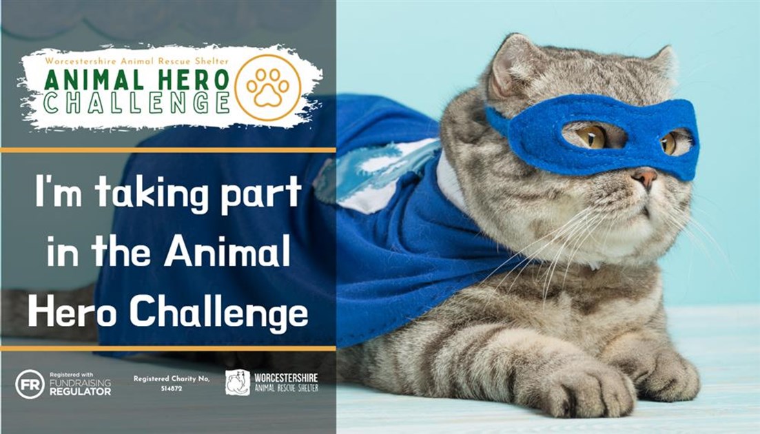 claire-tregunna-is-fundraising-for-worcestershire-animal-rescue-shelter