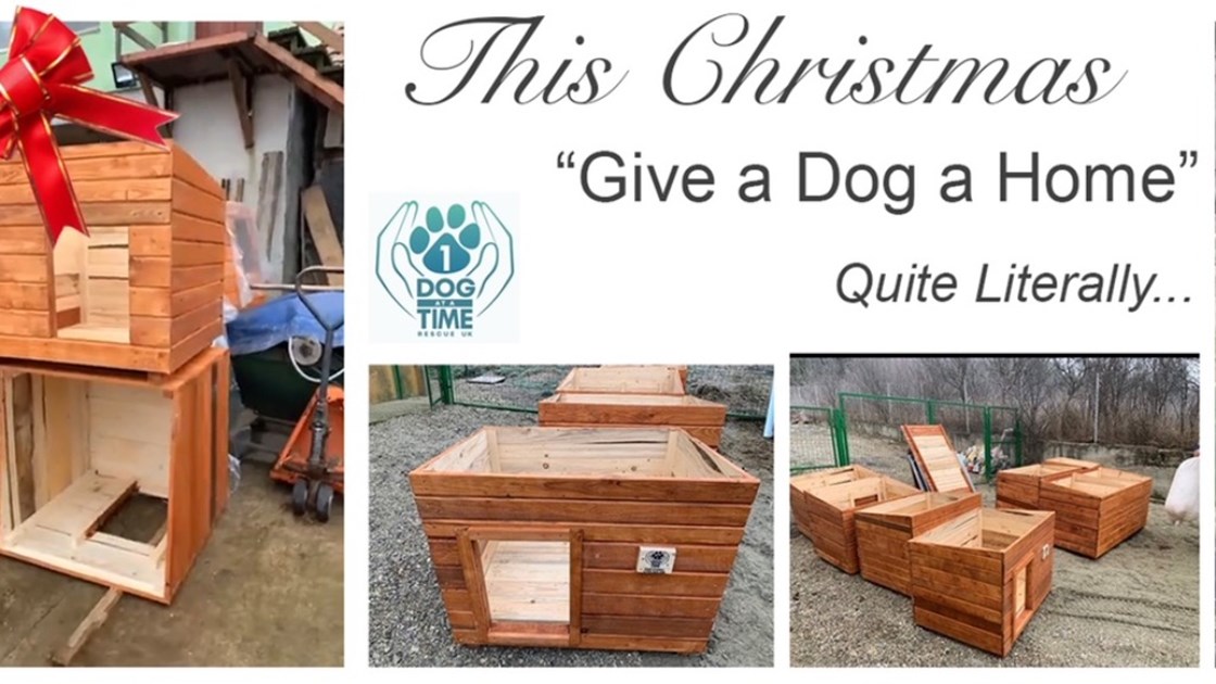 Give A Dog A Home This Christmas. JustGiving