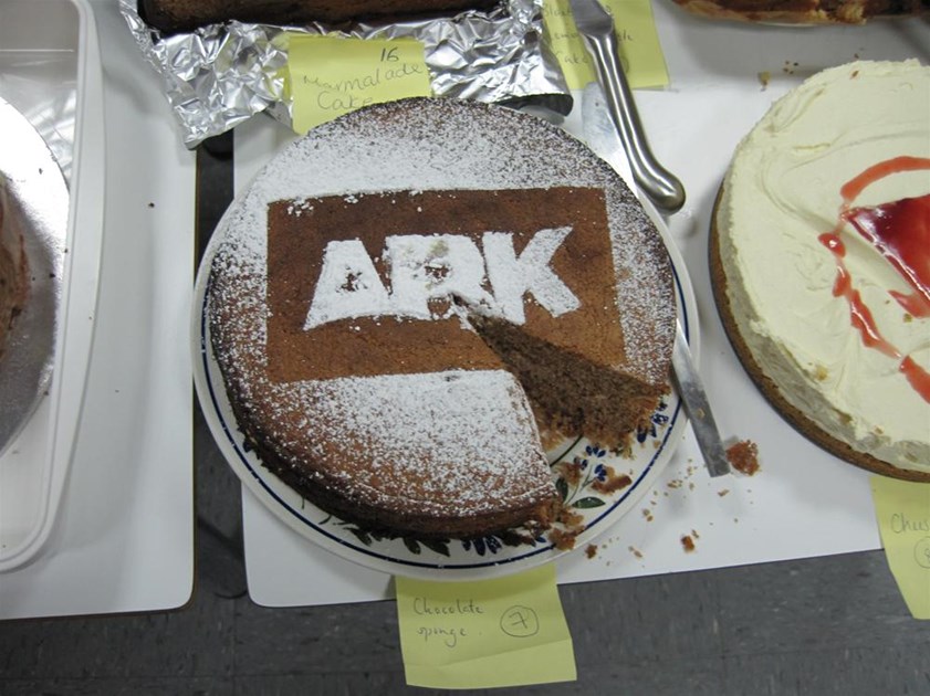 Ark Underwriting is fundraising for Leo Lion Foundation