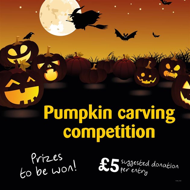 Cats Protection Newbury Adoption Centre is fundraising for Cats Protection