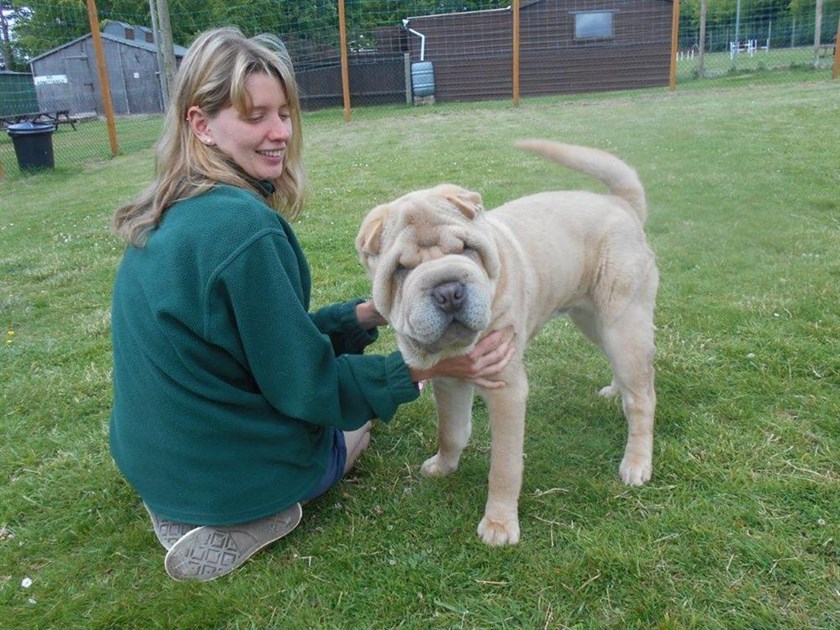 Margaret Green Animal Rescue Appeal is fundraising for Margaret Green Animal Rescue